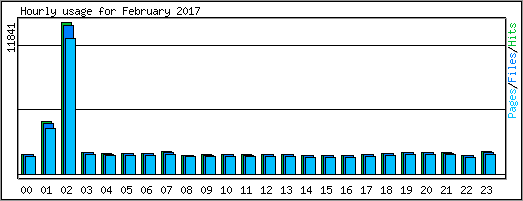 Hourly usage