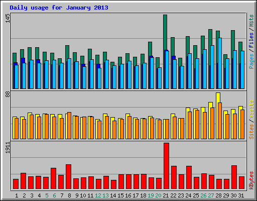 Daily usage for January 2013