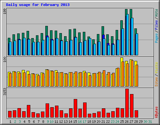 Daily usage for February 2013