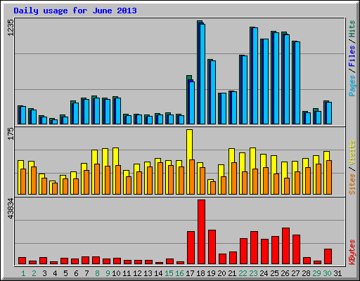 Daily usage for June 2013