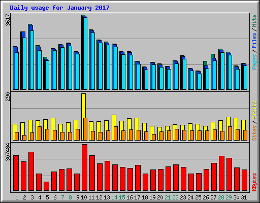 Daily usage for January 2017