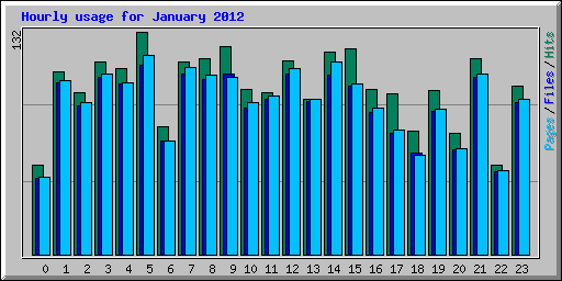 Hourly usage for January 2012