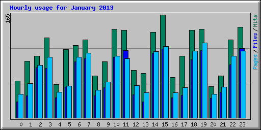 Hourly usage for January 2013
