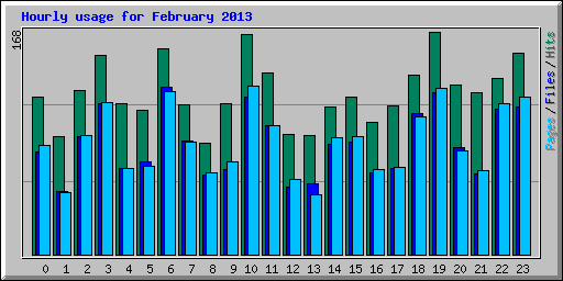 Hourly usage for February 2013