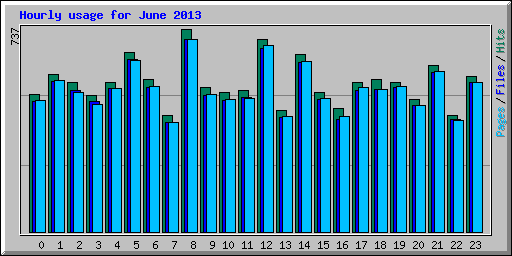 Hourly usage for June 2013