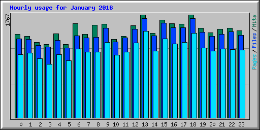 Hourly usage for January 2016