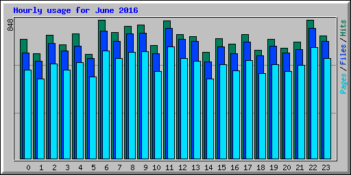 Hourly usage for June 2016