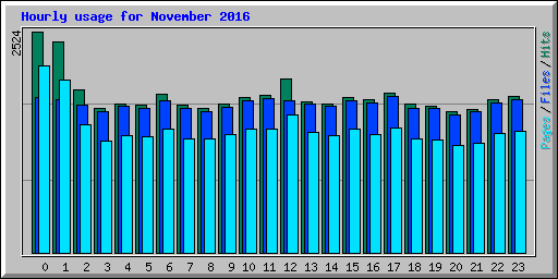 Hourly usage for November 2016