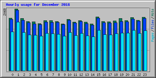 Hourly usage for December 2016