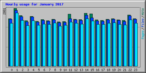 Hourly usage for January 2017