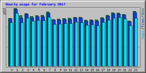 Hourly usage for February 2017